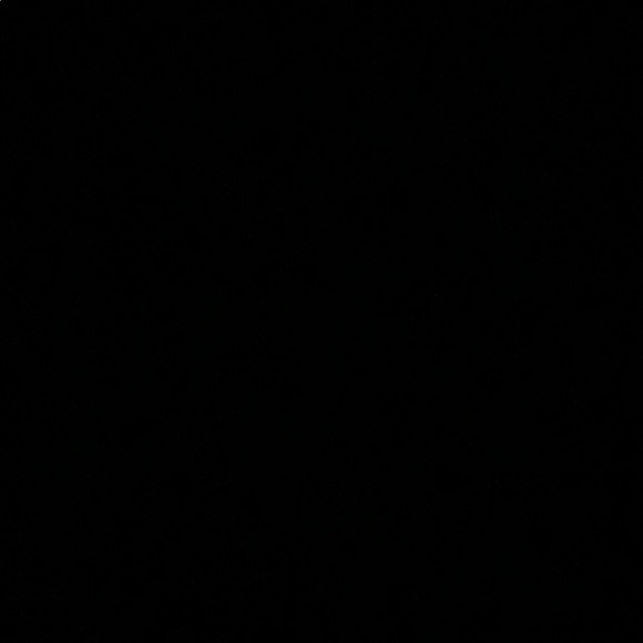 Meet your Posher, Haleema - Picture 1 of 1